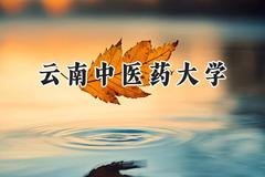 2024云南中医药大学录取分数线：青海最低380分