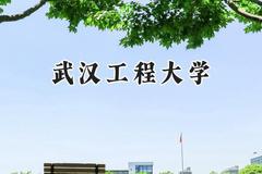 2024武汉工程大学录取分数线：宁夏最低494分