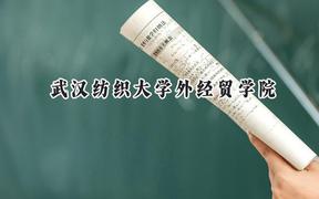 2024武汉纺织大学外经贸学院录取分数线：天津最低487分