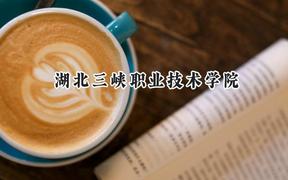 湖北三峽職業(yè)技術(shù)學(xué)院2024在遼寧錄取分?jǐn)?shù)線是多少？最低225分/最高452分