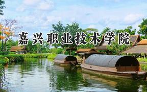 嘉兴职业技术学院2024在浙江录取分数线是多少？最低456分/最高535分