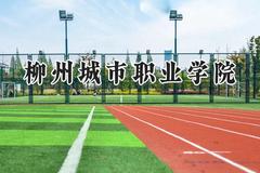柳州城市职业学院2024在贵州录取分数线是多少？最低236分/最高412分