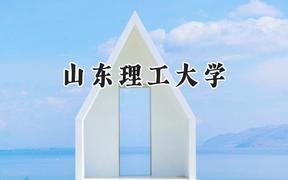 山东理工大学2024在重庆录取分数线是多少？最低511分/最高573分