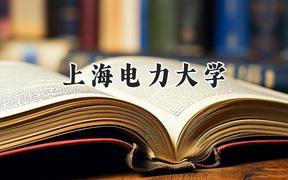 2024上海电力大学录取分数线：新疆最低481分