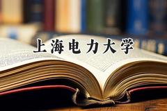 2024上海电力大学录取分数线：新疆最低481分
