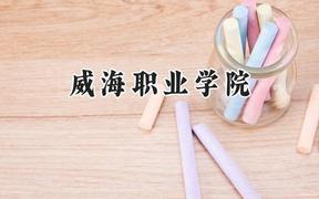 威海职业学院2024在山西录取分数线是多少？最低316分/最高374分