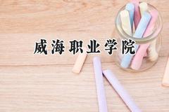 威海职业学院2024在山西录取分数线是多少？最低316分/最高374分