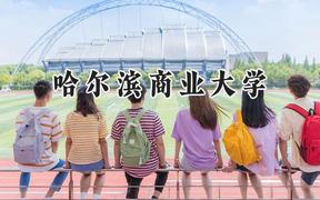 哈尔滨商业大学2024在上海录取分数线是多少？最低423分/最高437分