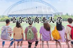 哈尔滨商业大学2024在上海录取分数线是多少？最低423分/最高437分