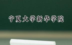 2024寧夏大學(xué)新華學(xué)院錄取分?jǐn)?shù)線：天津最低462分