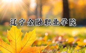 辽宁金融职业学院2024在辽宁录取分数线是多少？最低158分/最高413分