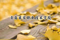 2024青岛求实职业技术学院录取分数线：宁夏最低269分