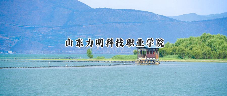 山东力明科技职业学院