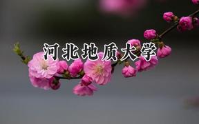 2024河北地质大学录取分数线：山西最低453分