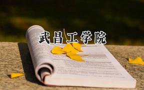 2024武昌工学院录取分数线：江苏最低462分