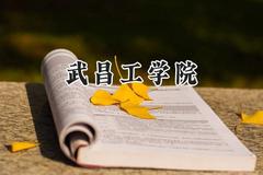 2024武昌工学院录取分数线：江苏最低462分