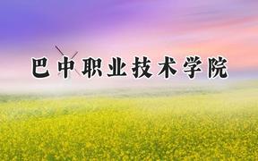 巴中职业技术学院2024在浙江录取分数线是多少？最低295分/最高463分