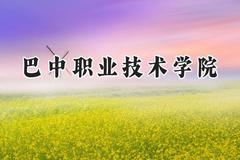 巴中职业技术学院2024在浙江录取分数线是多少？最低295分/最高463分