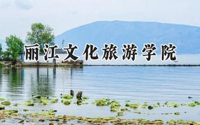 丽江文化旅游学院2024在山西录取分数线是多少？最低238分/最高423分