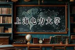 上海电力大学2024在浙江录取分数线是多少？最低614分/最高646分