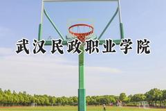 2024武汉民政职业学院录取分数线：江苏最低401分