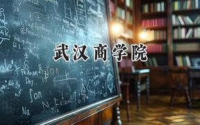 武汉商学院2024在内蒙古录取分数线是多少？最低260分/最高342分