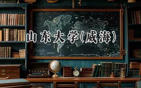 2024山东大学(威海)录取分数线：山西最低556分