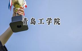 青岛工学院2024在内蒙古录取分数线是多少？最低362分/最高424分