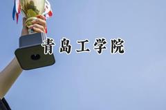 青岛工学院2024在内蒙古录取分数线是多少？最低362分/最高424分