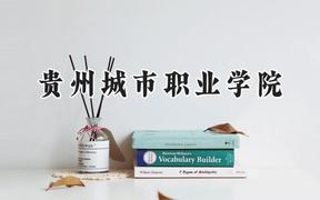 贵州城市职业学院2024在浙江录取分数线是多少？最低269分/最高347分