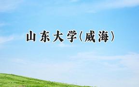 2024山东大学(威海)录取分数线：青海最低423分