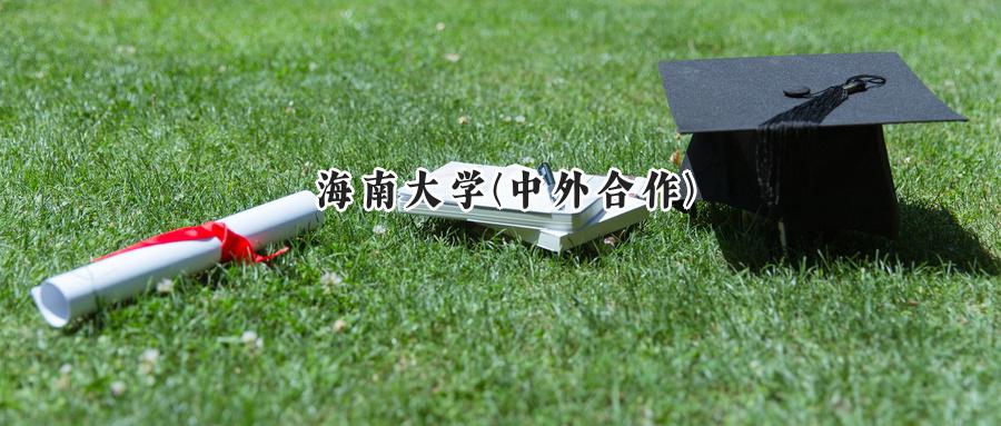 海南大学(中外合作)