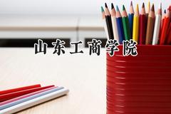 山东工商学院2024在重庆录取分数线是多少？最低487分/最高551分