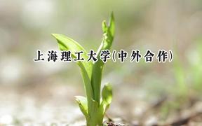上海理工大学(中外合作)2024在重庆录取分数线是多少？最低509分/最高580分