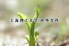 上海理工大学(中外合作)2024在重庆录取分数线是多少？最低509分/最高580分