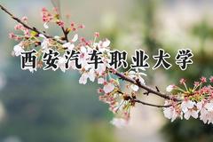 西安汽车职业大学2024在山西录取分数线是多少？最低263分/最高412分