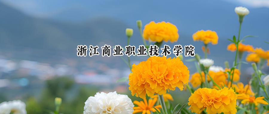 浙江商业职业技术学院