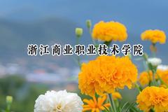 浙江商业职业技术学院2024在河北录取分数线是多少？最低411分/最高474分