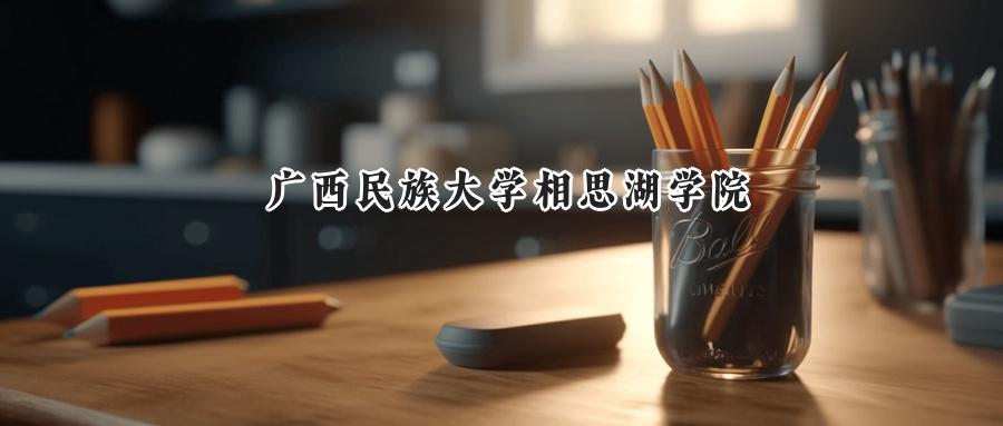广西民族大学相思湖学院