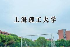 上海理工大学2024在四川录取分数线是多少？最低558分/最高605分