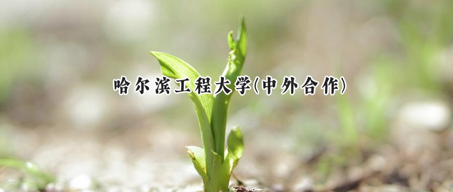 哈尔滨工程大学(中外合作)