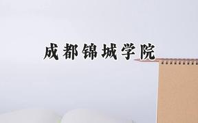 2024成都锦城学院录取分数线：青海最低347分