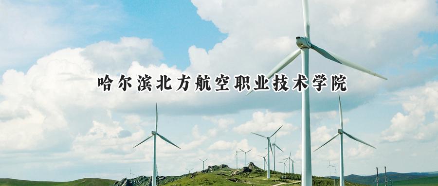 哈尔滨北方航空职业技术学院2024在内蒙古录取分数线是多少？最低190分/最高224分-第1张图片-索考网