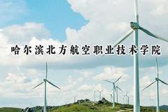哈尔滨北方航空职业技术学院2024在内蒙古录取分数线是多少？最低190分/最高224分