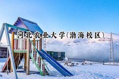 河北农业大学(渤海校区)2024在河北录取分数线是多少？最低510分/最高553分