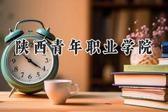 陕西青年职业学院2024在山西录取分数线是多少？最低343分/最高396分