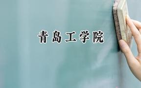 青岛工学院2024在贵州录取分数线是多少？最低388分/最高478分