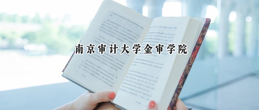 南京审计大学金审学院