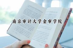 南京审计大学金审学院2024在上海录取分数线是多少？最低417分/最高432分