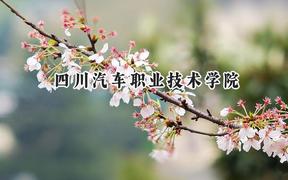 2024四川汽車職業(yè)技術(shù)學(xué)院錄取分?jǐn)?shù)線：青海最低225分